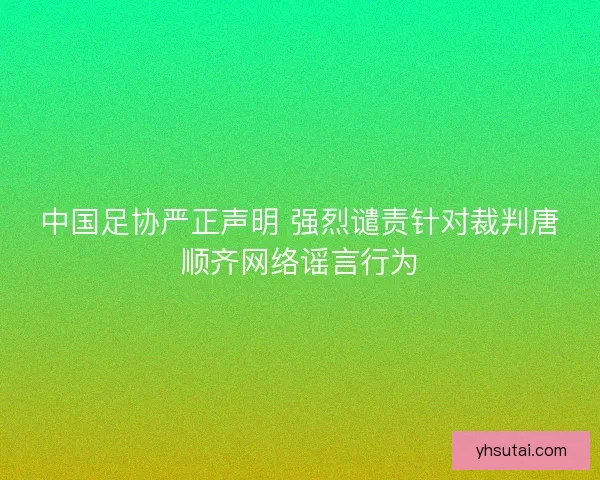 中国足协严正声明 强烈谴责针对裁判唐顺齐网络谣言行为
